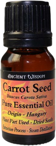 Carrot Seed Carrot Seed